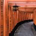 santuario di Fushimi Inari-taisha