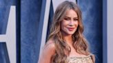 Sofia Vergara Wore Rhinestone-Pinstriped Pants With a Matching Tube Top to Taylor Swift's Concert