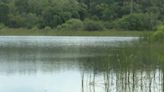 Lakeland to use new tech to harvest harmful algae blooms in Lake Bonnet