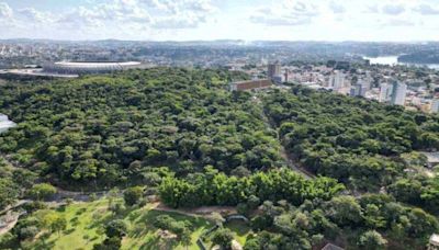 Stock Car denuncia UFMG pelo corte ilegal de 5 mil árvores