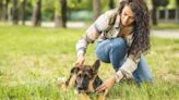 What is desensitization for dogs?