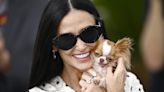 Fans are obsessed with Demi Moore’s tiny dog Pilaf at Cannes 2024