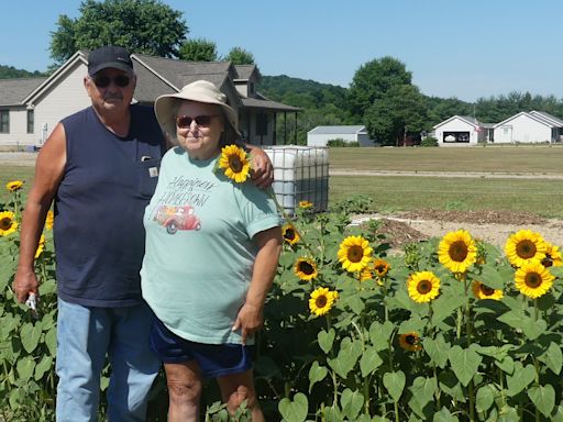 Frankfort couple showcases love through sunflower garden