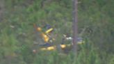 Tybee Island flight instructor dies in Florida plane crash Wednesday night