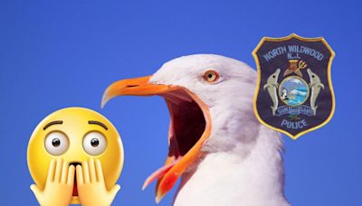 NJ man charged with killing seagull — NJ Top News