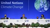 COP27: Qué se discutirá en el evento que reúne a líderes mundiales y ambientales