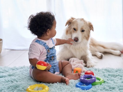 10 Best Dogs for Kids Under the Age of 5