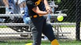 COLLEGE SOFTBALL: DACC falls to St. Louis in district tournament