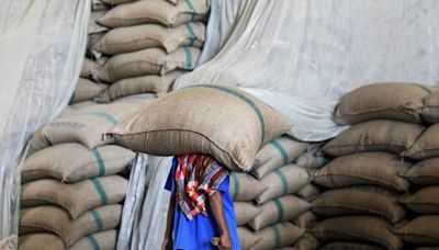 稻米存放10年能吃嗎？泰國官員稱安全無虞 政府擬釋出販賣