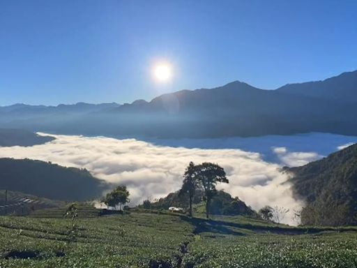 放鬆好去處！體驗"雲中打盹" 武界雲海如牛奶鍋