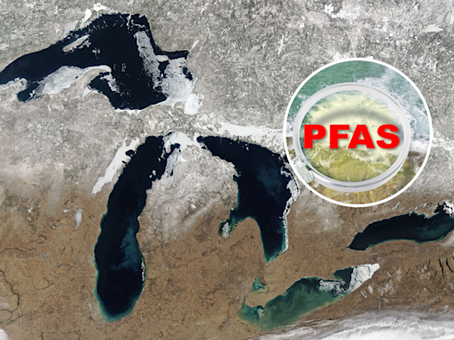 Great Lakes all contain "hazardous" forever chemicals