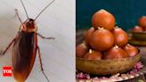 Man finds cockroach in gulab jamun at Pind Balluchi restaurant in Ghaziabad | Ghaziabad News - Times of India