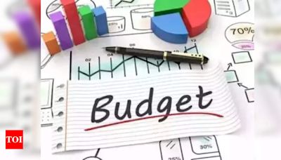 Rajasthan state budget 2024: Key details | Jaipur News - Times of India