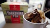 Gardeners urged to put ripped teabags in gardens, but on one conditon