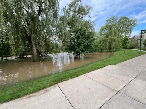 Ontario floods: How nature-based solutions can promote effective flood management