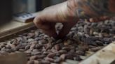 Cocoa Shortage Seen to Be Higher Than Previously Estimated, ICCO Says