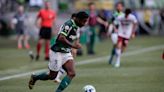 Palmeiras se impone a Fluminense y solo necesita de un empate para conseguir el título