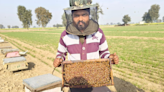 Marginal farmer to a global honey supplier: Journey of a 30-yr-old beekeeper