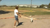 San Jose dog owners upset with city over pesticide spraying