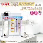 【水蘋果公司貨】Everpure QL3-BH2 10英吋三道淨水器