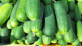 Cucumber-linked salmonella outbreak spreads to NJ