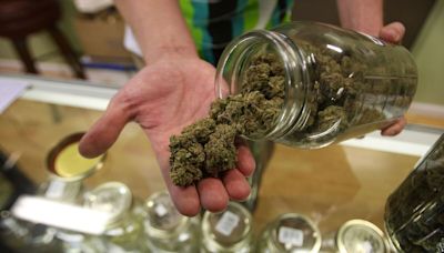 DOJ Advances Plan to Classify Marijuana as Less Dangerous Drug