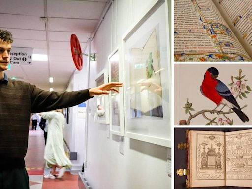 Stunning photos bring Minster treasures to life - in a corridor at York Hospital