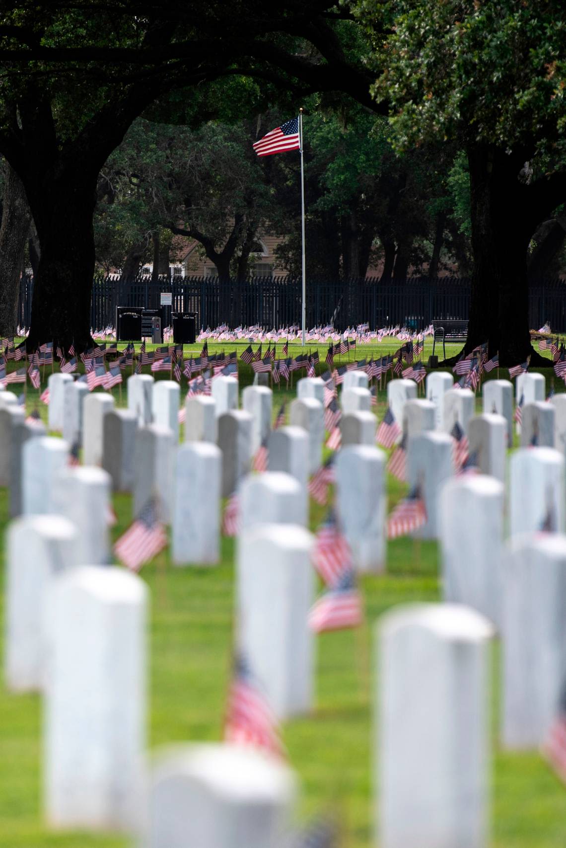 Setting the record straight on the differences between Memorial Day and Veterans Day