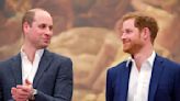 Prince William & Prince Harry's Rivalry May Hinge on the Global Success of This Project