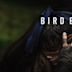 Bird Box – Schließe deine Augen