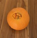 Navel orange