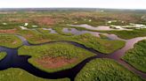 Everglades cuentan con más recursos para su restauración y una iniciativa sobre la vida en la zona