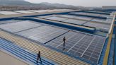 China's farms investing in solar show no sign of pausing buildout