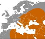 Early human migrations