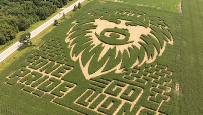 How a Michigan farm has transformed a corn field into a Lions-inspired work of art