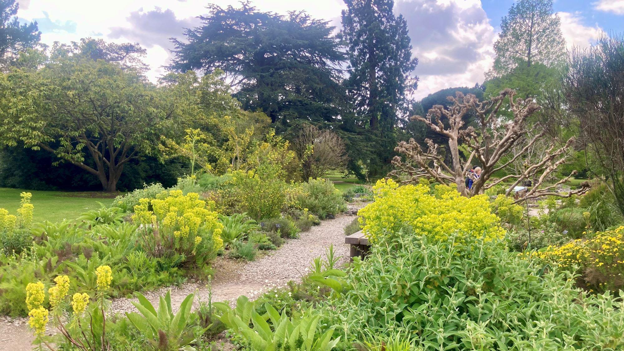 Botanic garden monitors trees for climate change