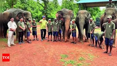 Just opened in an Odisha wildlife sanctuary, a restaurant for jumbos - Times of India