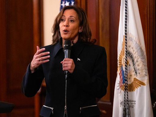 Tiene voluntad de adaptarse, dicen activistas sobre Kamala Harris y la inmigración