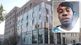 Vicious pit bull grabs owner’s jugular, mauls him to death in NYC apartment