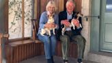 Queen Consort Camilla's rescue dogs to live with her and King Charles III in Buckingham Palace (VIDEO)