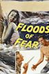 Floods of Fear