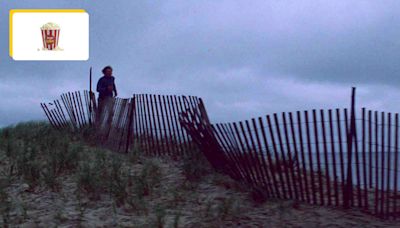 Depuis presque 50 ans, les premières minutes de ce film empêchent des milliers de spectateurs d'aller se baigner