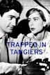 Trapped in Tangiers