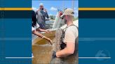 Federally-protected Atlantic Sturgeon found in Spirit Creek rescued and re-located
