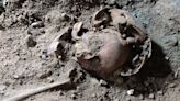 Five human skeletons, missing hands and feet, found outside house of Nazi leader Hermann Göring | CNN