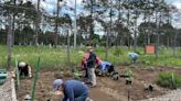 Mercy Care installs Vegetable Garden at the Lake Placid Community Garden