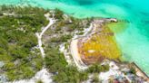 Ship spills 30,000 gallons of oil in The Bahamas