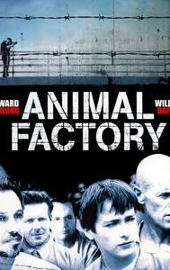 Animal Factory