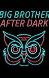 Big Brother After Dark