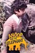 Anoop and the Elephant